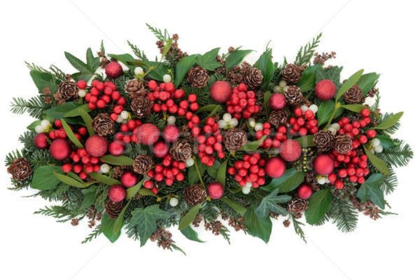 6035286_stock-photo-christmas-flora-and-baubles - LA MULȚI ANI SĂNĂTOȘI ȘI BUCUROȘI CU MULTE REALIZĂRI 2019