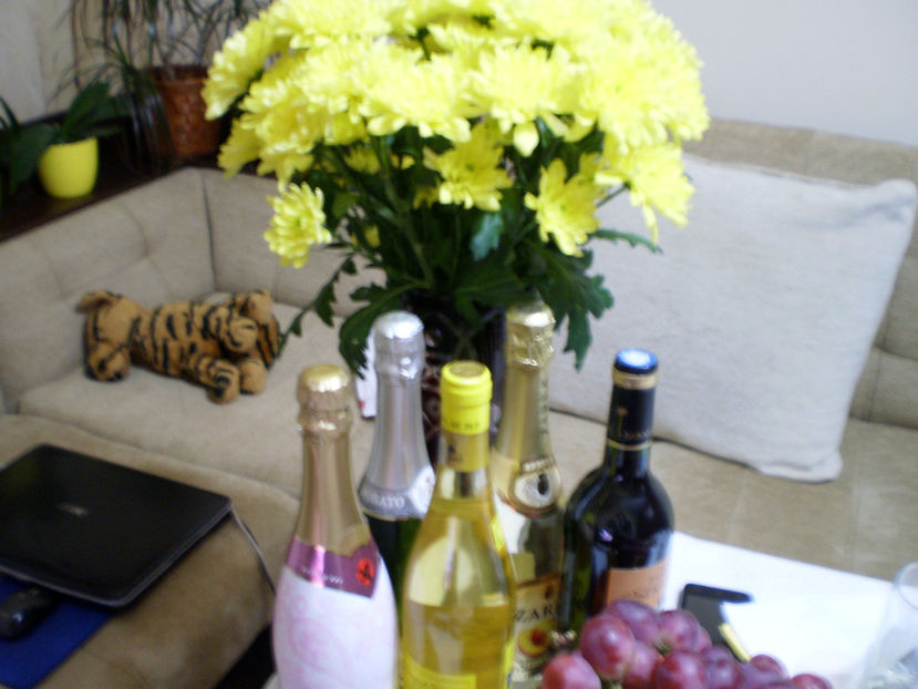 PC310012 - REVELION 2011-2012-2013-2014-2015_2017-2018