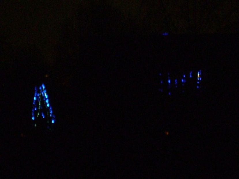 Craciun 2018 in cartier - v Iarna 2016-2017-2018