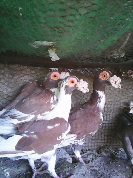 Photo1591 - Instantanee