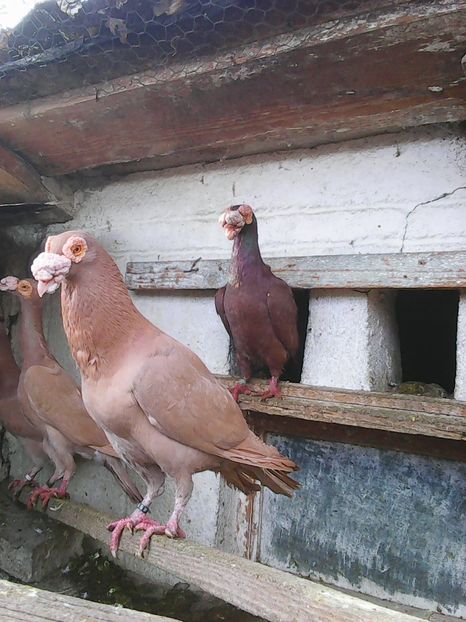 Photo1597 - Instantanee