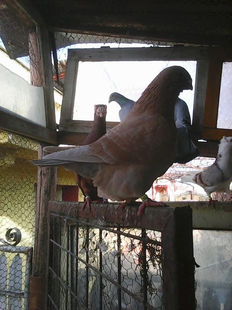 Photo1604 - Copy - Instantanee