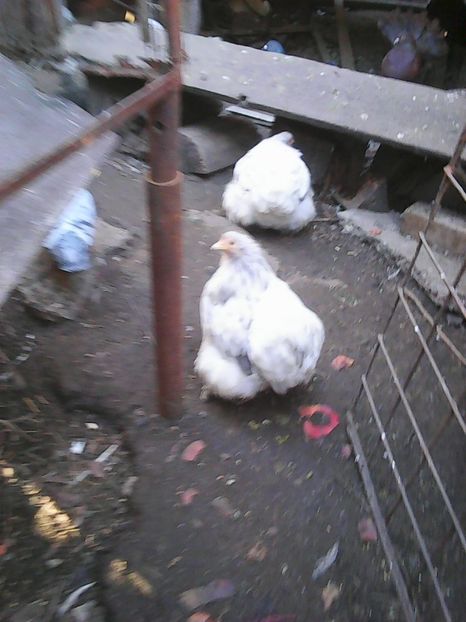 Photo1621 - Instantanee