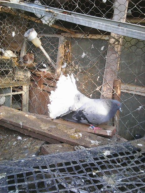 Photo1625 - Instantanee