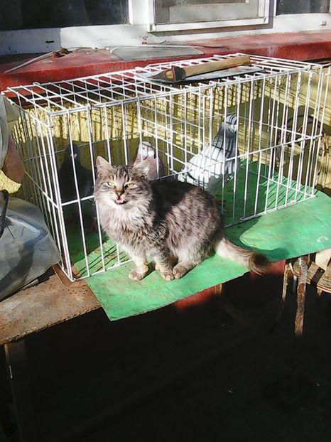 Photo1627 - Instantanee