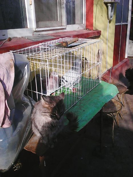 Photo1629 - Instantanee