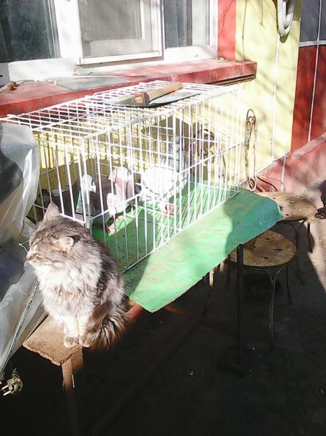 Photo1630 - Instantanee