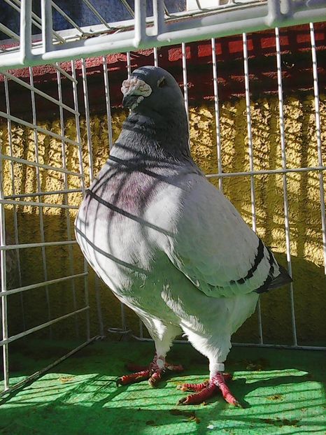 Photo1632 - Instantanee