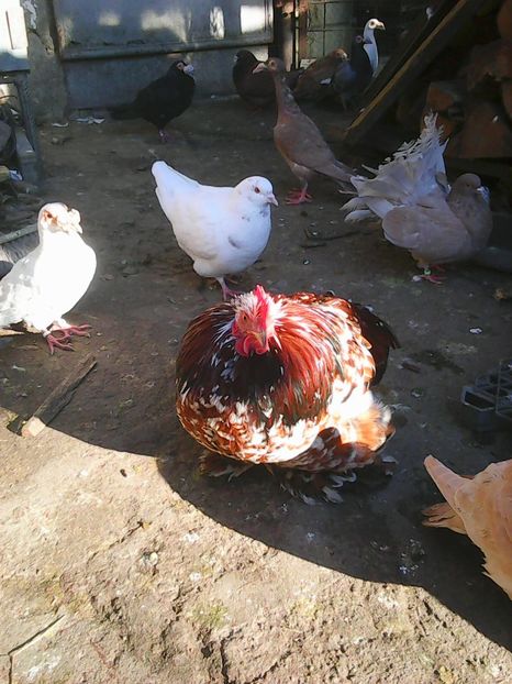 Photo1648 - Instantanee