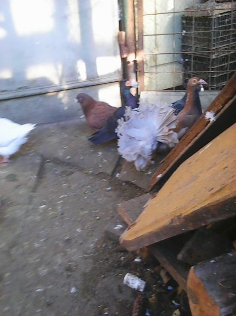 Photo1649 - Instantanee