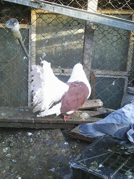 Photo1651 - Instantanee