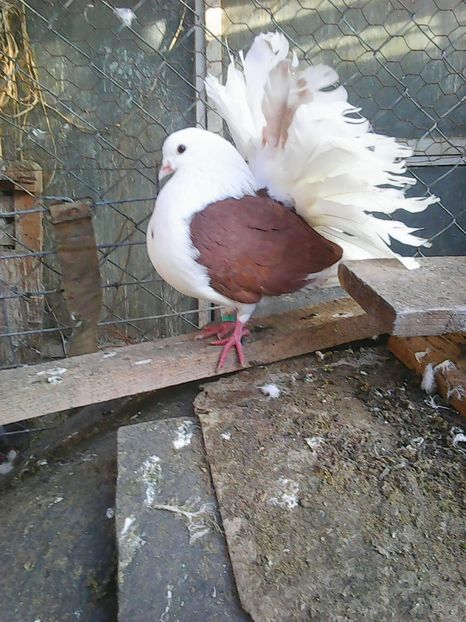 Photo1653 - Instantanee