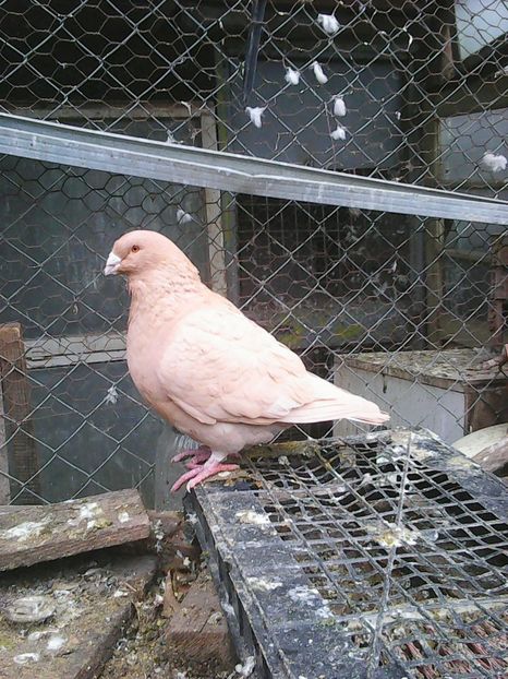 Photo1676 - Instantanee