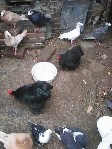 Photo1684 - Instantanee