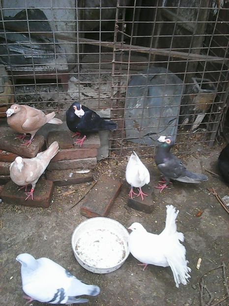 Photo1686 - Copy - Instantanee