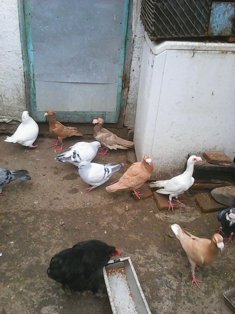 Photo1687 - Instantanee