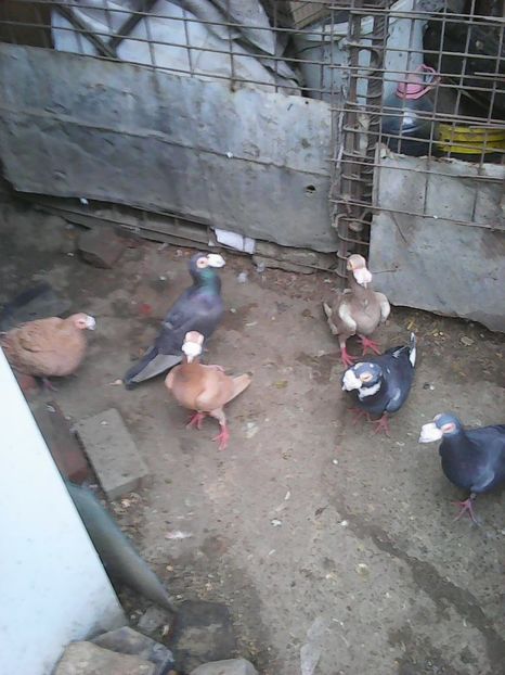 Photo1711 - Instantanee