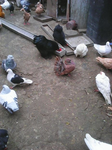 Photo1721 - Instantanee