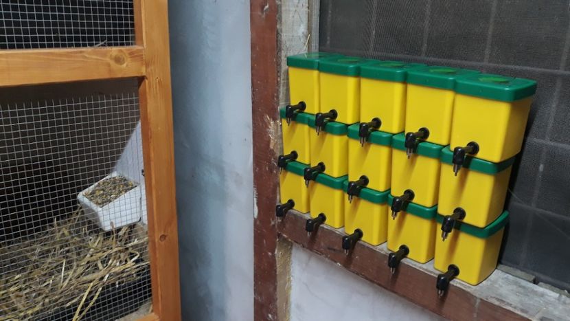  - A---RENOVARE ADAPOST