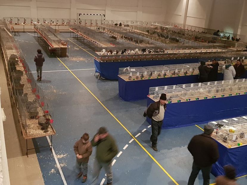  - u EXPO As PAJURA-Expo Hotarele Dec 2018