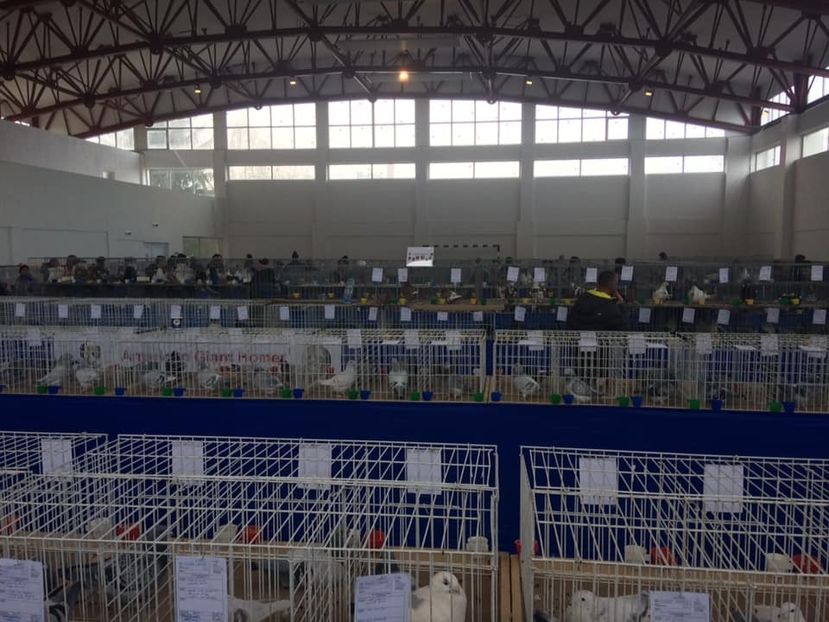  - u EXPO As PAJURA-Expo Hotarele Dec 2018