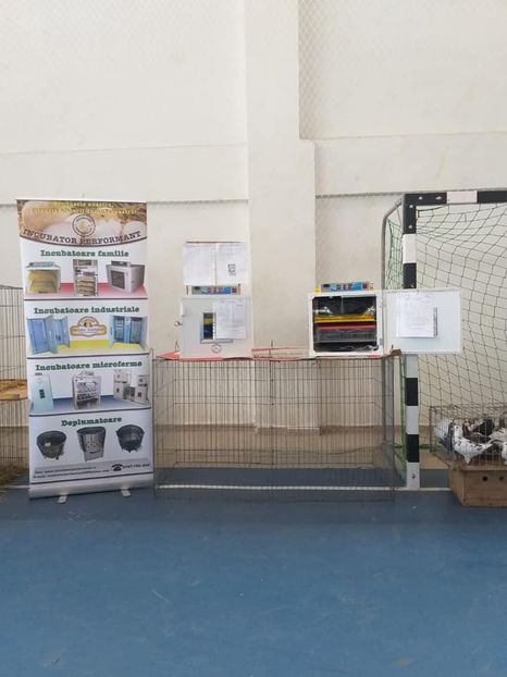  - u EXPO As PAJURA-Expo Hotarele Dec 2018