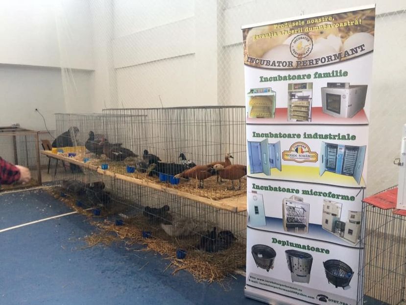  - u EXPO As PAJURA-Expo Hotarele Dec 2018