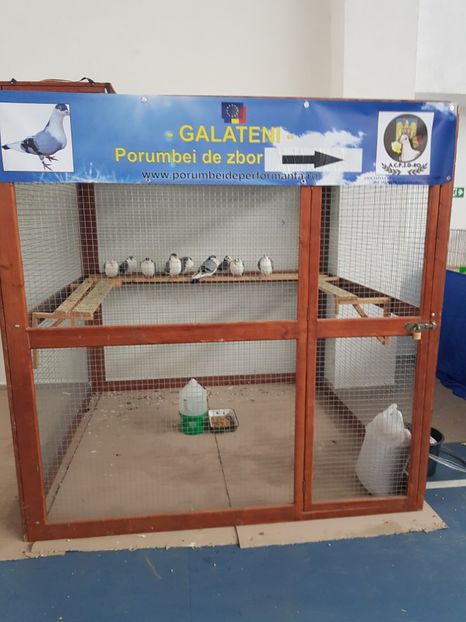  - u EXPO As PAJURA-Expo Hotarele Dec 2018