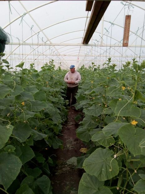 IMG-20181019-WA0000 - 2019