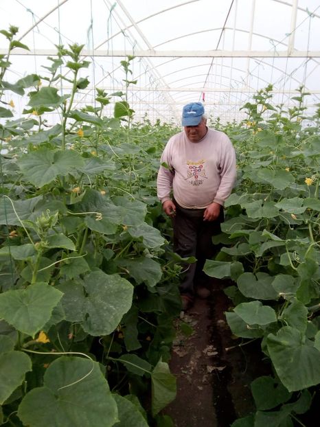 IMG-20181019-WA0003 - 2019