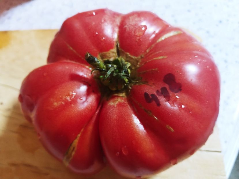 CHINESE GIANT (32) - CHINESE GIANT-2018