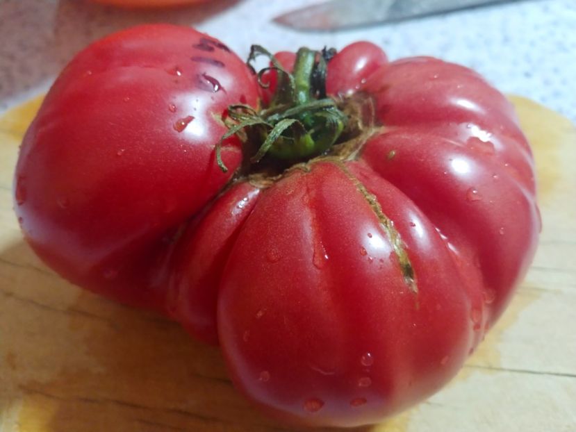 CHINESE GIANT (36) - CHINESE GIANT-2018