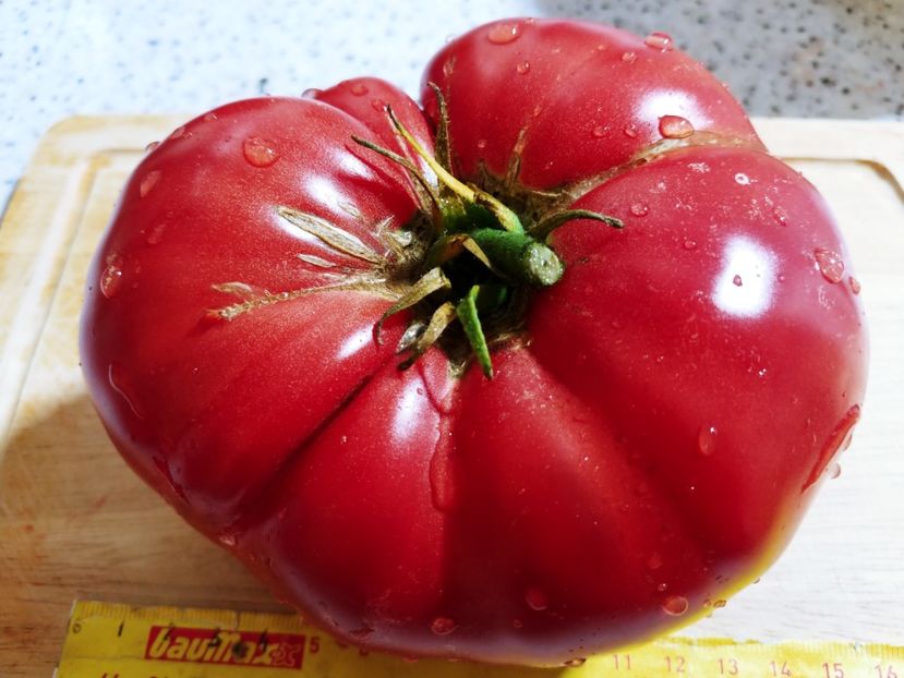 CHINESE GIANT (49) - CHINESE GIANT-2018