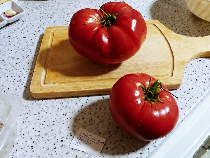 CHINESE GIANT (50) - CHINESE GIANT-2018