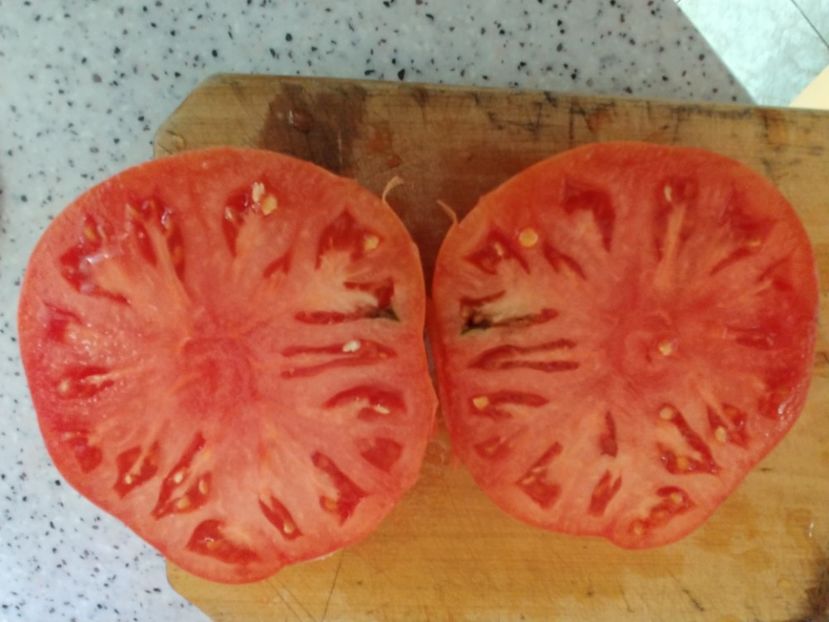 CHINESE GIANT (87) - CHINESE GIANT-2018