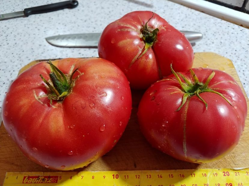 CHINESE GIANT 05.08  (2) - CHINESE GIANT-2018