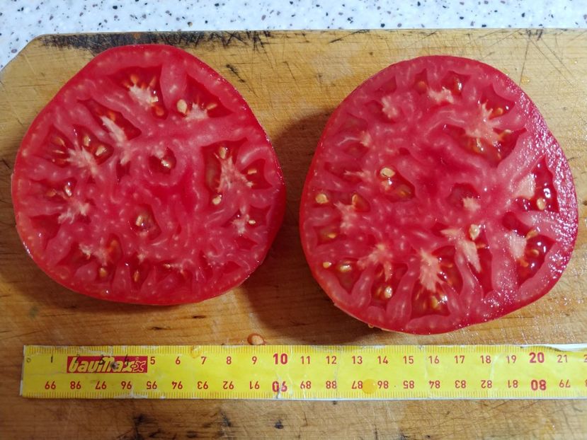 CHINESE GIANT 05.08  (6) - CHINESE GIANT-2018