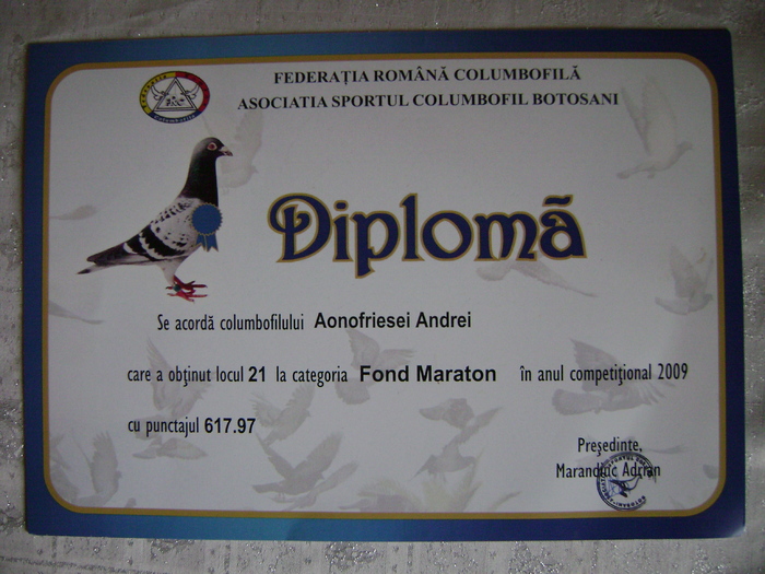 3 - diplome si cupe