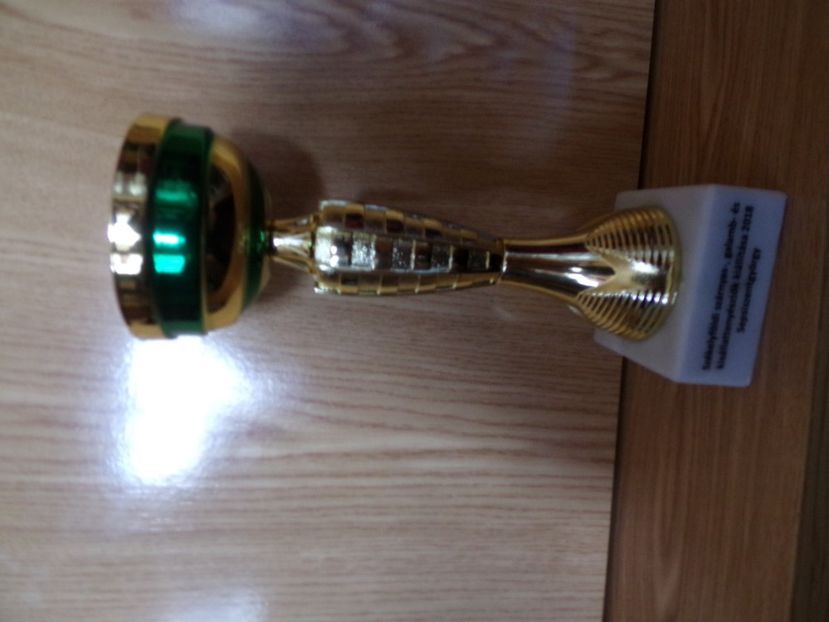  - 01-REZULTATELE CUPE DIPLOME