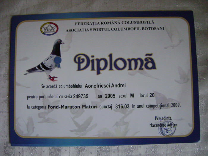 4 - diplome si cupe