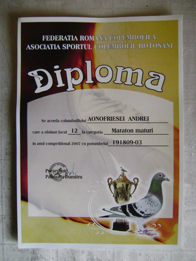 5 - diplome si cupe