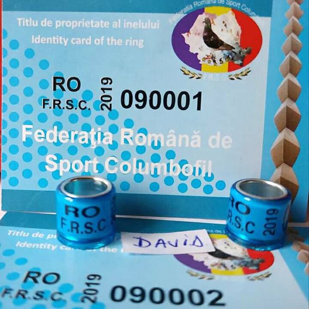2019-FRSC + talon....-1 leu - Inele porumbei 2019 de vanzare
