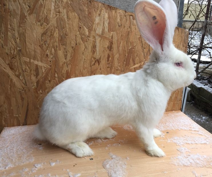 B770C825-EEB8-4FFE-B352-EB9C47A5F6C8 - RO8-288