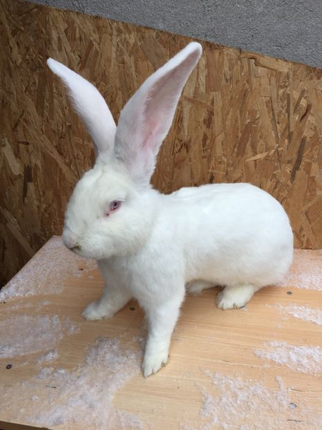 2DB488CC-C42E-4F76-B779-04BDCD79A851 - RO8-288