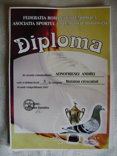 6 - diplome si cupe