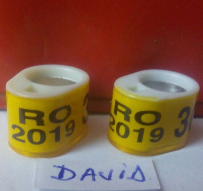 2019-RO-lacas cip....-1,5 lei - Inele porumbei 2019 de vanzare