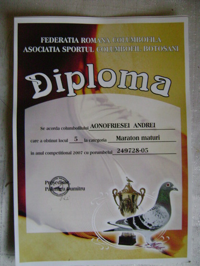 7 - diplome si cupe