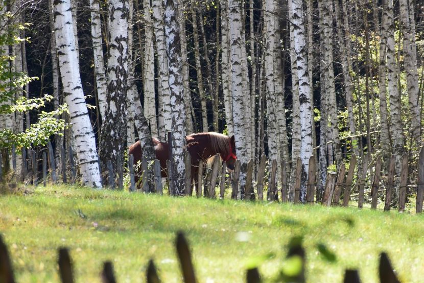  - Sfarsit de septembrie