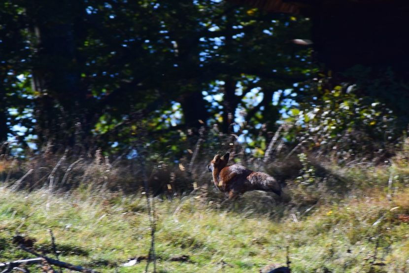  - Sfarsit de septembrie