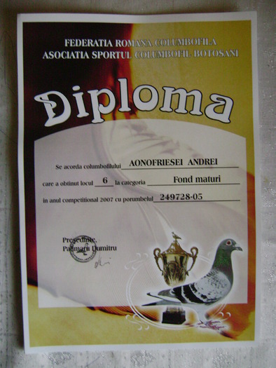 9 - diplome si cupe